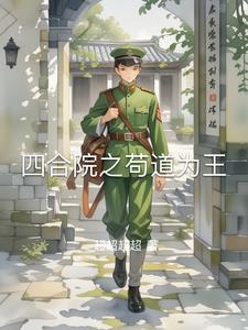 四合院里的小黑手 四合院里的小黑手