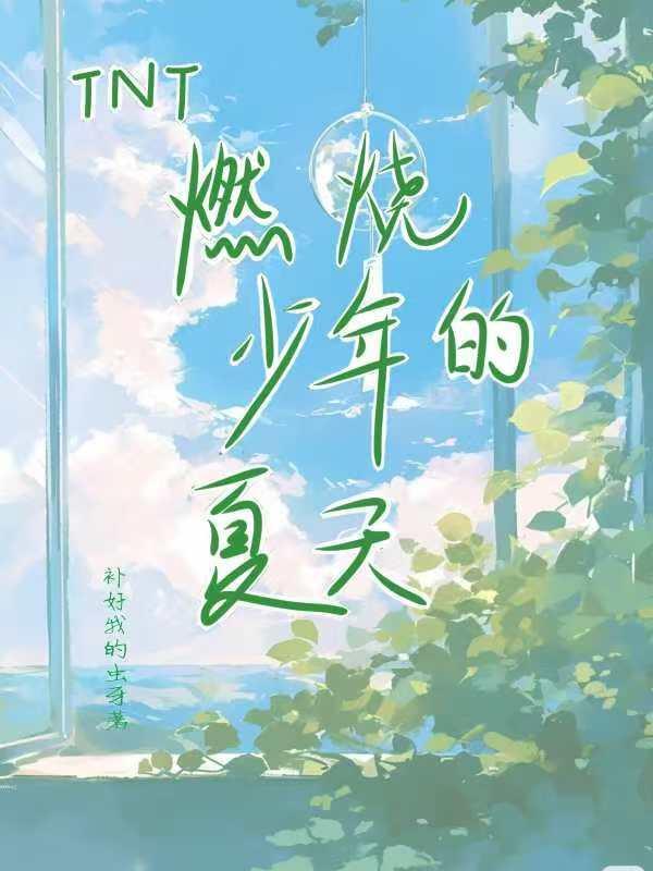 TNT:燃烧少年的夏天 TNT:燃烧少年的夏天